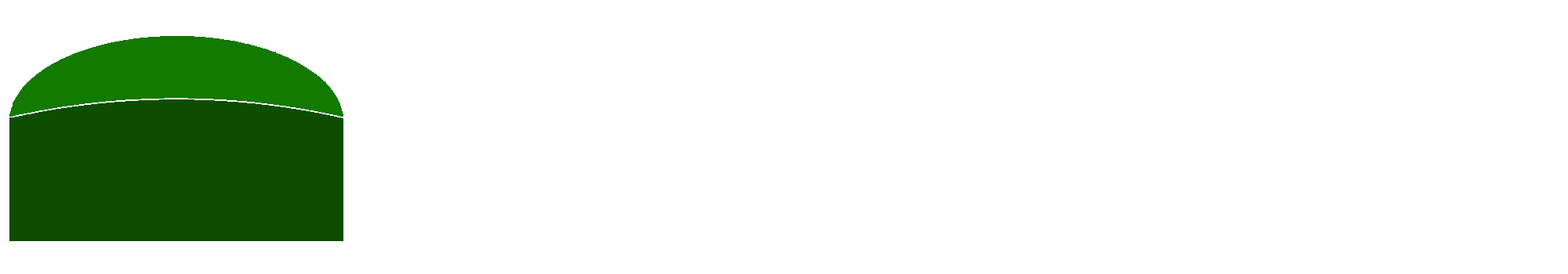 Hansen Biogas GmbH &amp; Co. KG